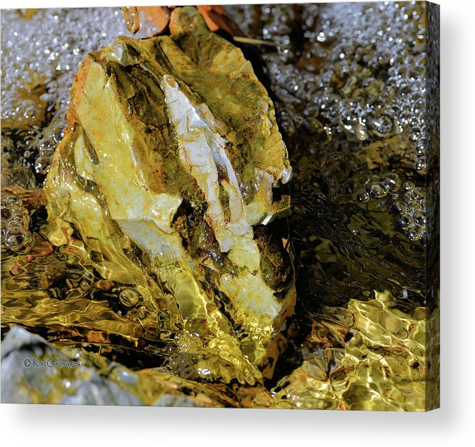 Rock Acrylic Print featuring the photograph Bright Rock in Stream by Kae Cheatham