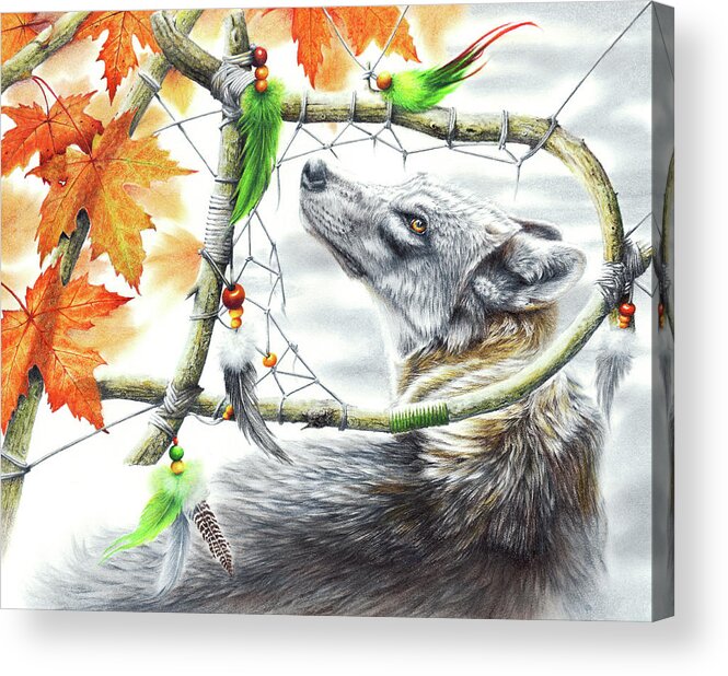 Wolf Acrylic Print featuring the drawing Broken Dream by Peter Williams