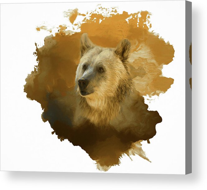 Brown Bear Acrylic Print featuring the painting Brown Bear by Steven Richardson