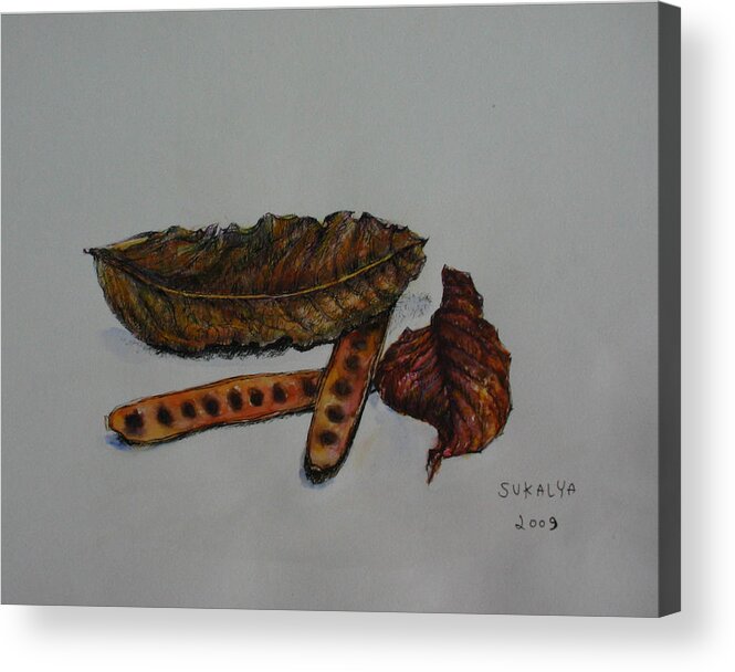 Brown Acrylic Print featuring the painting Brown of Leafs and Seeds by Sukalya Chearanantana