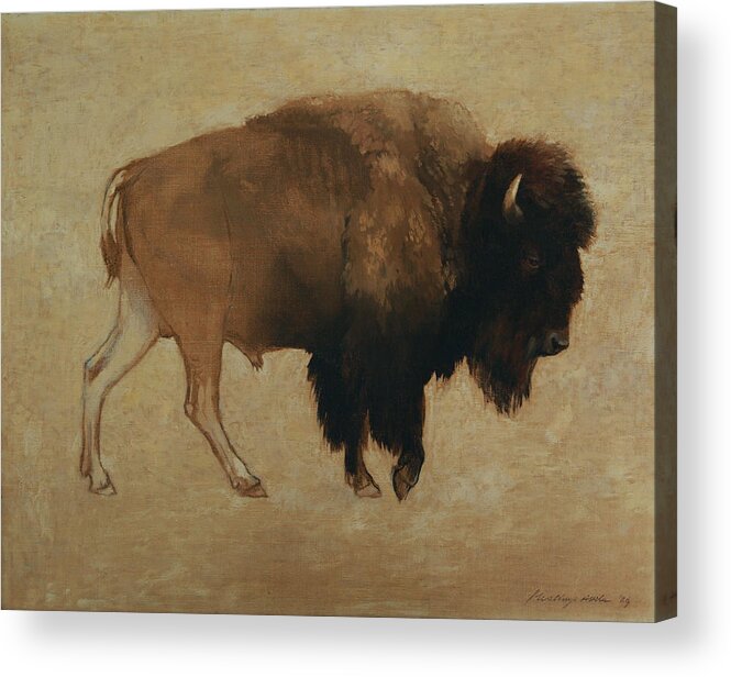 Buffalo Acrylic Print featuring the painting Buffalo by Attila Meszlenyi