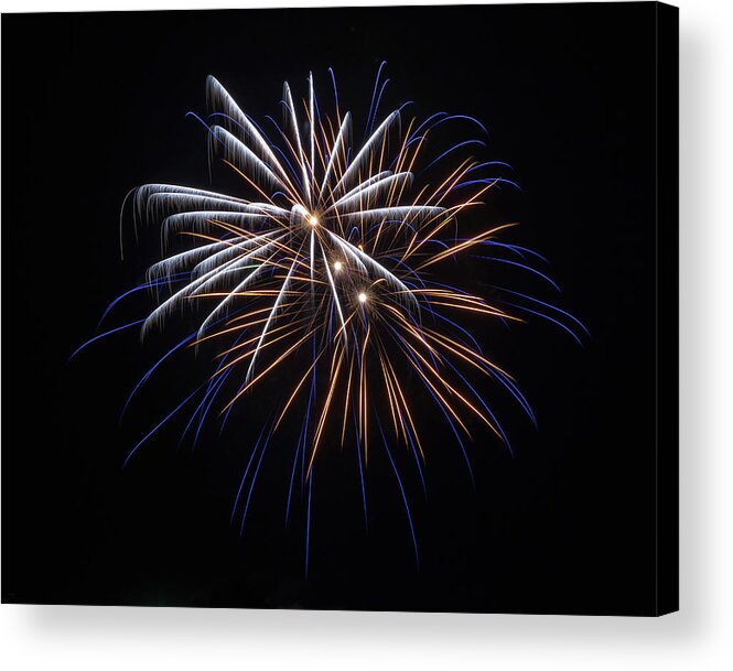 Bill Pevlor Acrylic Print featuring the photograph Burst of Elegance by Bill Pevlor