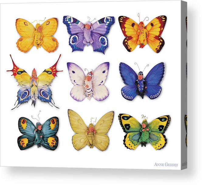 Butterfly Acrylic Print featuring the photograph Butterfly Babies by Anne Geddes