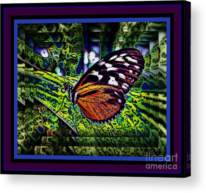 Butterfly Acrylic Print featuring the photograph Butterfly Dreams by Leslie Revels