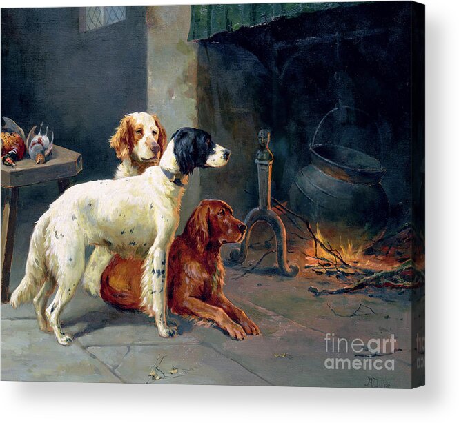 Dogs Acrylic Print featuring the painting By the Fire by Alfred Duke