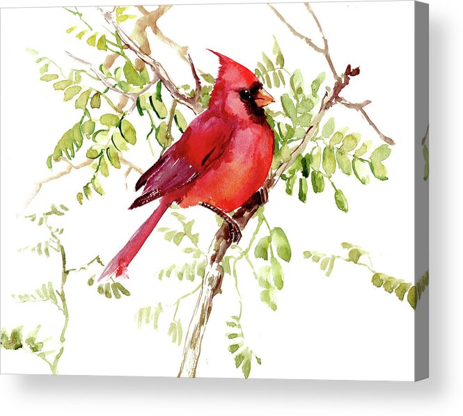 Bird Art Acrylic Print featuring the painting Cardinal Bird by Suren Nersisyan