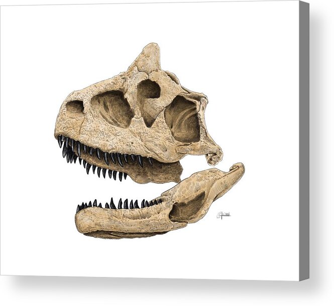 Carnotaurus Acrylic Print featuring the digital art Carnotaurus Skull by Rick Adleman
