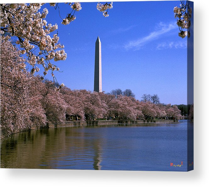 Scenic Acrylic Print featuring the photograph Cherry Blossoms on the Tidal Basin 15J by Gerry Gantt