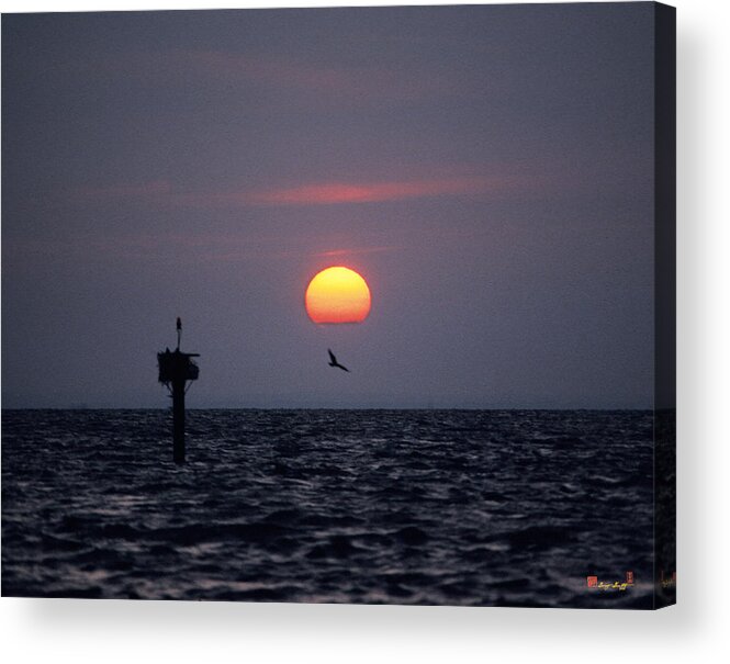 Sea Acrylic Print featuring the photograph Chesapeake Bay Osprey 14O by Gerry Gantt