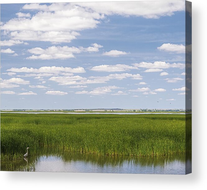 Kansas Acrylic Print featuring the photograph Cheyenne Bottoms by Rob Graham