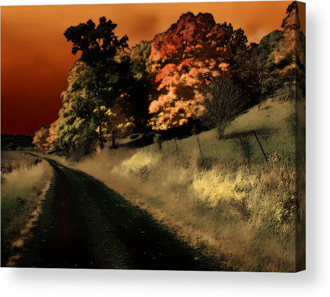 Road Acrylic Print featuring the photograph Coles County by Jim Painter