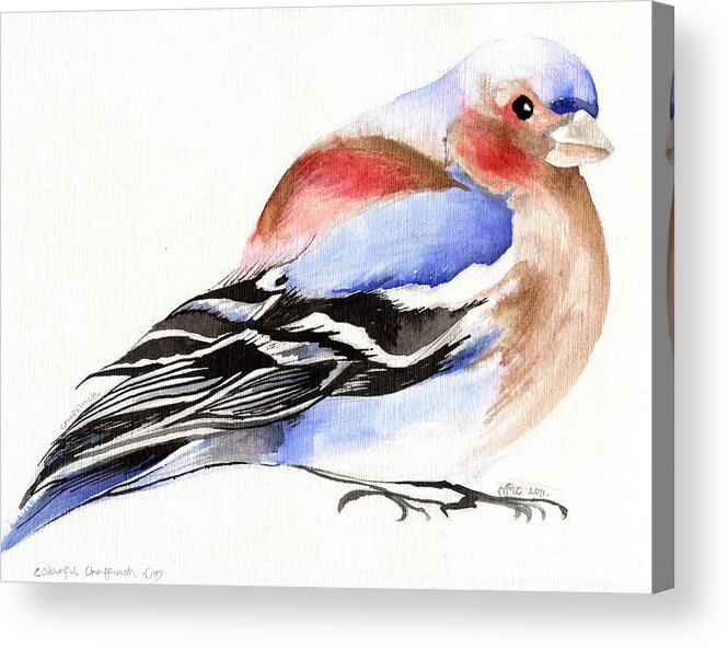 Finch Acrylic Print featuring the painting Colorful Chaffinch by Nancy Moniz