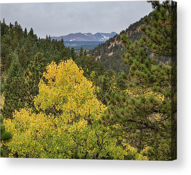 Scenic Acrylic Print featuring the photograph Continental Divide Autumn View by James BO Insogna