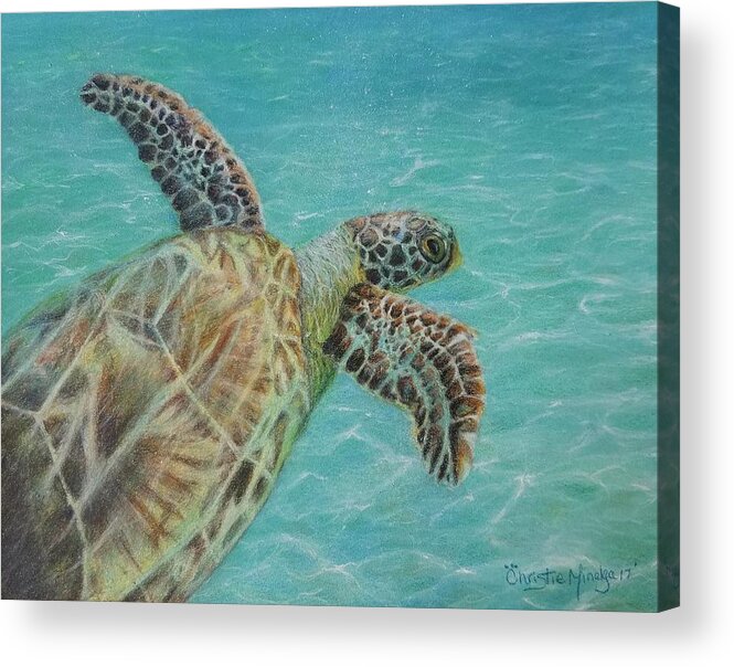 Underwater Life Acrylic Print featuring the drawing Cooling off by Christie Minalga
