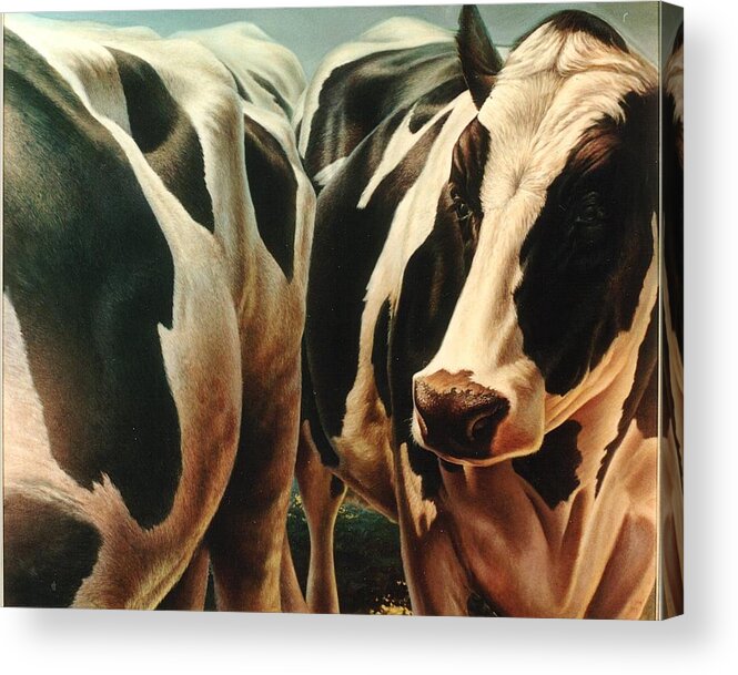 Cows Acrylic Print featuring the painting Cows 1 by Hans Droog