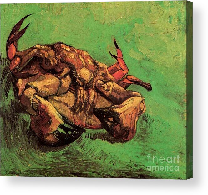 Arles Acrylic Print featuring the painting Crab on Its Back by Vincent Van Gogh