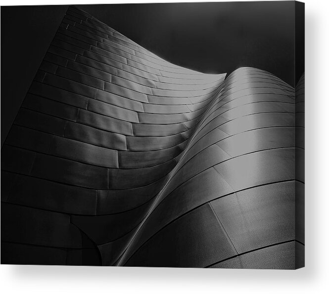Frank Gehry Acrylic Print featuring the photograph Curves Frank Gehry AIA by Chuck Kuhn