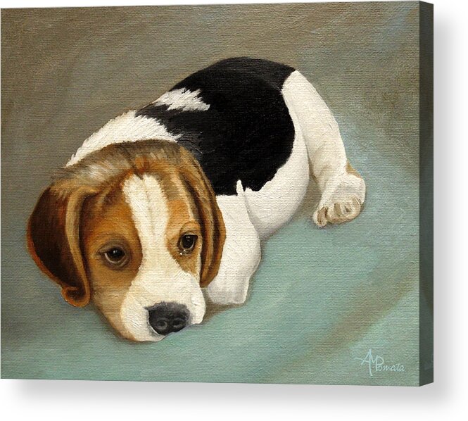 Beagle Acrylic Print featuring the painting Cute Beagle by Angeles M Pomata