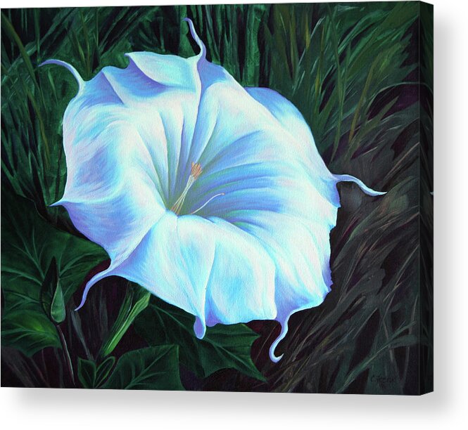 Flower Acrylic Print featuring the painting Datura Flower by Cheryl Fecht