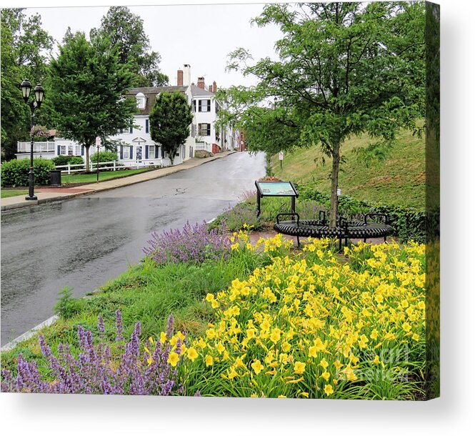 Day Lilies Acrylic Print featuring the photograph Day Lilies Leyden Street by Janice Drew