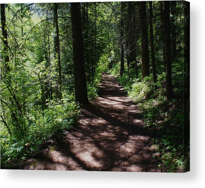 Nature Acrylic Print featuring the photograph Deep Woods Road by Ben Upham III