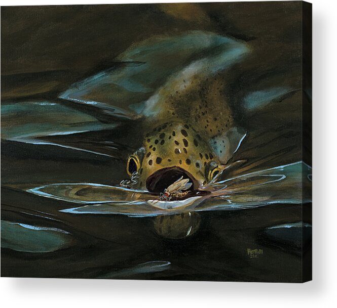 Trout Acrylic Print featuring the painting Dinner is Served by Les Herman