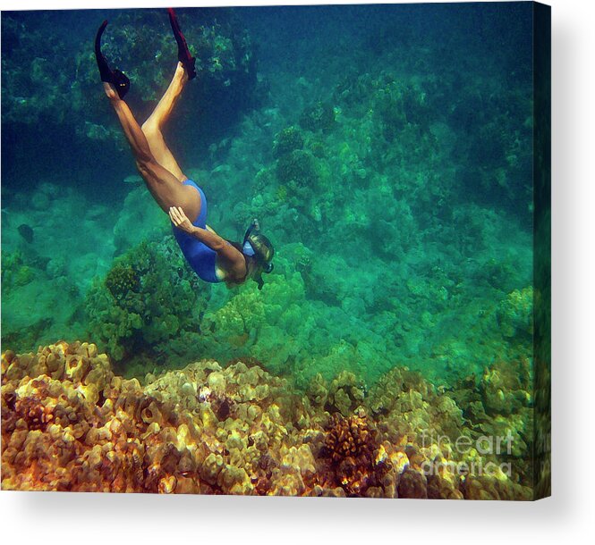 Underwater Hawaii Acrylic Print featuring the photograph Diving for Shells by Bette Phelan