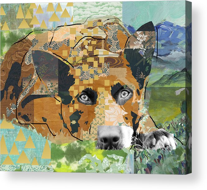 Dog Acrylic Print featuring the mixed media Dog Dreaming Collage by Claudia Schoen