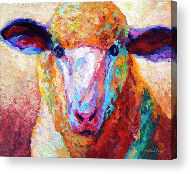 Llama Acrylic Print featuring the painting Dorset Ewe by Marion Rose