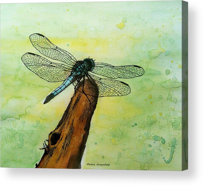 Dragonfly Acrylic Print featuring the painting Dragonfly by Mamie Greenfield