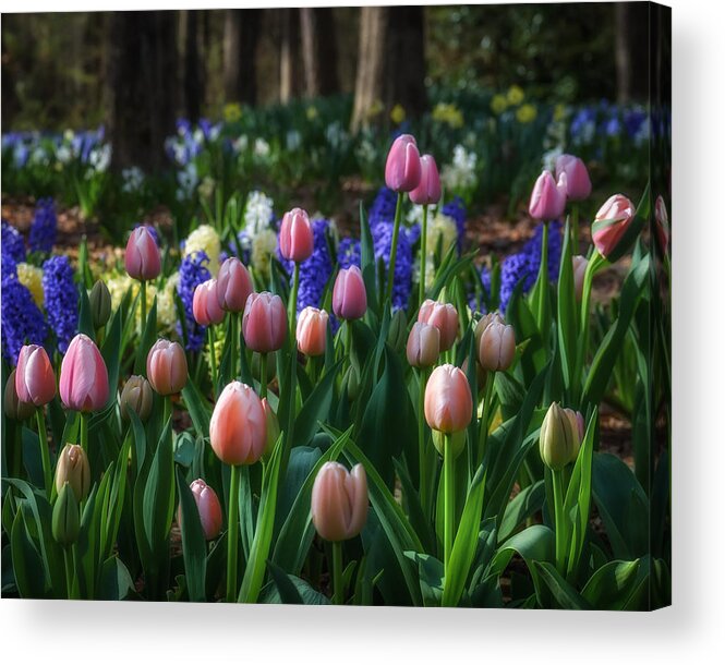 Dream Acrylic Print featuring the photograph Dream Garden by James Barber
