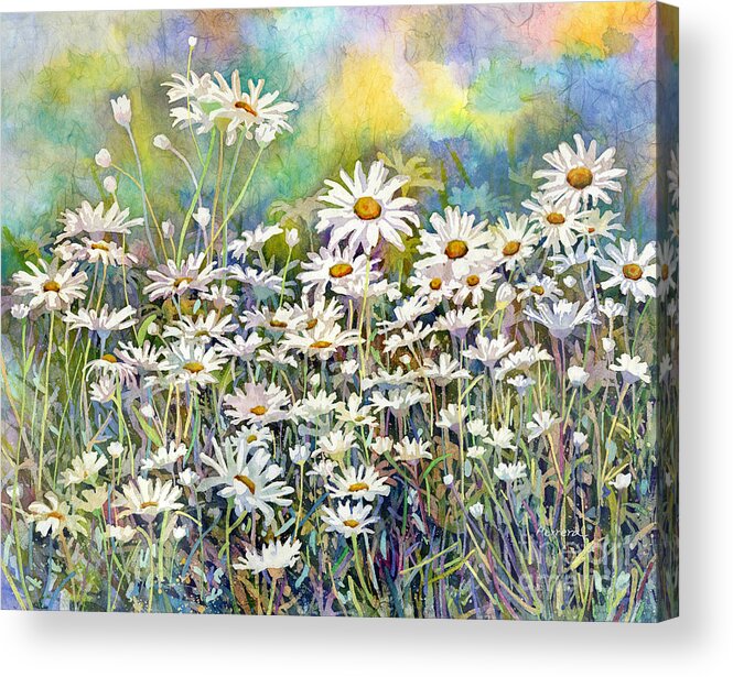 Daisy Acrylic Print featuring the painting Dreaming Daisies by Hailey E Herrera