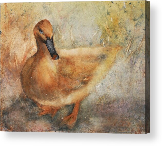 Duck Acrylic Print featuring the painting Duck by Denice Palanuk Wilson