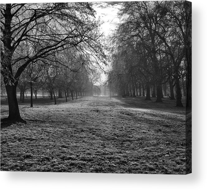 December Acrylic Print featuring the photograph Early Morning in Hyde Park 16x20 by Leah Palmer