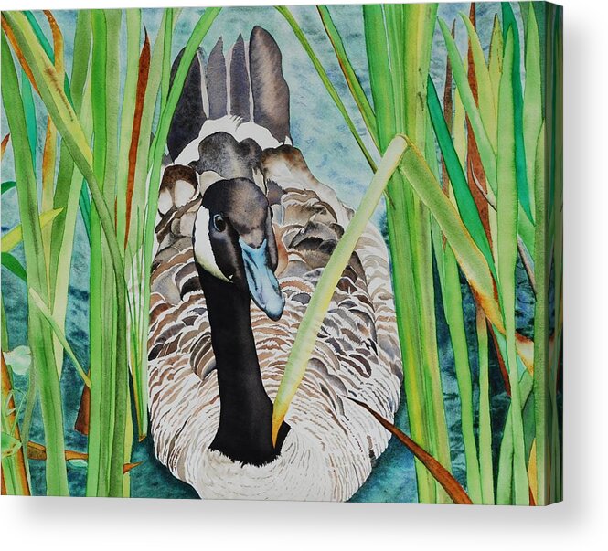 Goose Acrylic Print featuring the painting Emerging by Sonja Jones