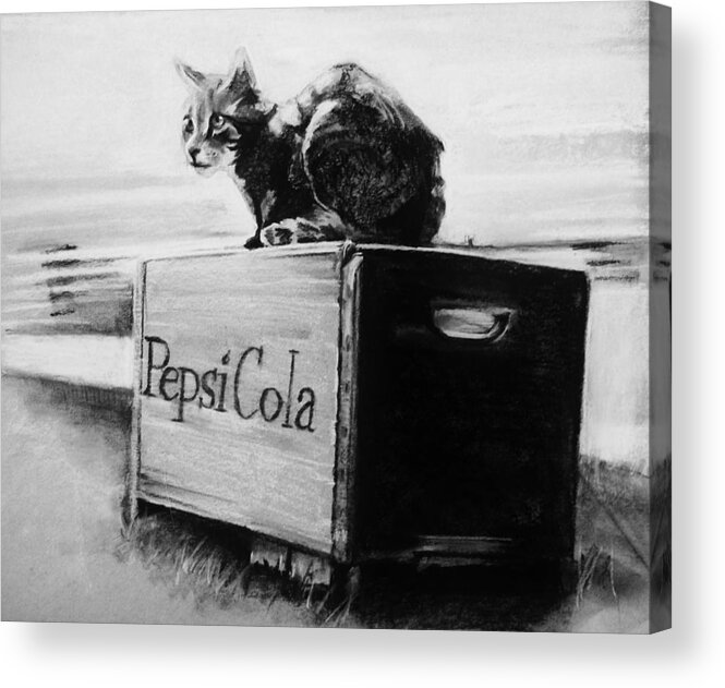 Cat Acrylic Print featuring the drawing Emma by Jean Cormier