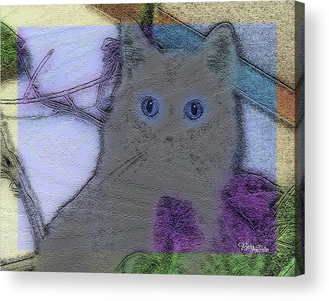 Cat Acrylic Print featuring the photograph Emmy #43 by Barbara Tristan