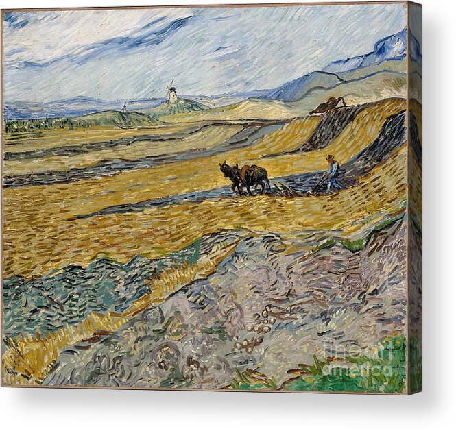 Enclosed Field With Ploughman October 1889 Vincent Van Gogh (dutch (worked In France) Acrylic Print featuring the painting Enclosed Field with Ploughman October by MotionAge Designs