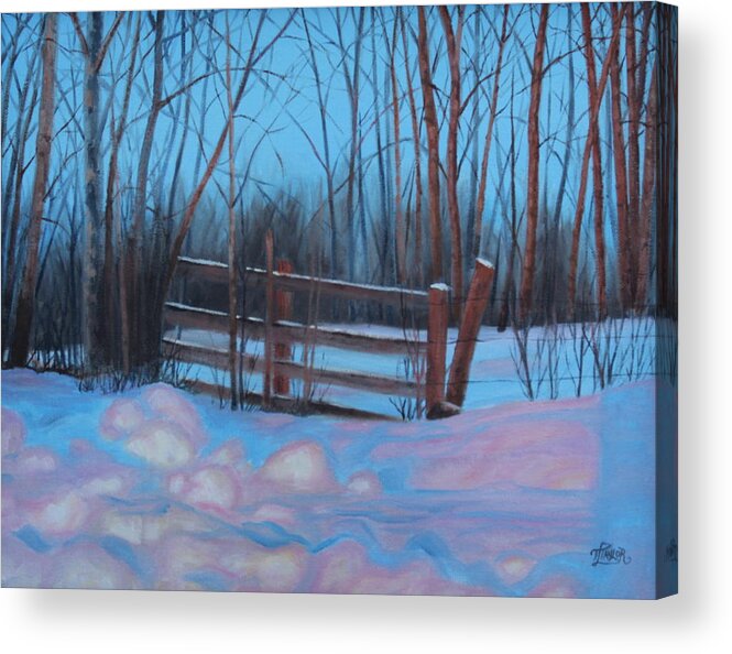 Landscapes Acrylic Print featuring the painting Evening Show by Tammy Taylor