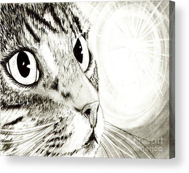 Cat Acrylic Print featuring the drawing Fairy Light Tabby Cat Drawing by Carrie Hawks