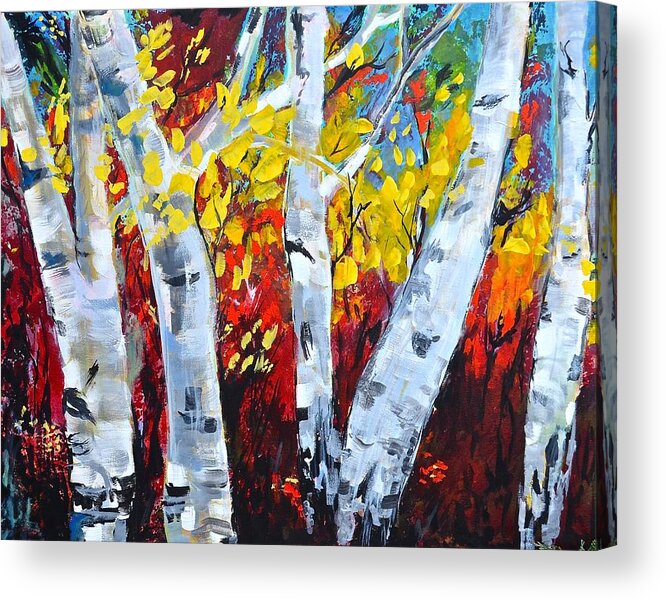 Birch Trees Acrylic Print featuring the photograph Fall Birch Trees by Gregory Merlin Brown
