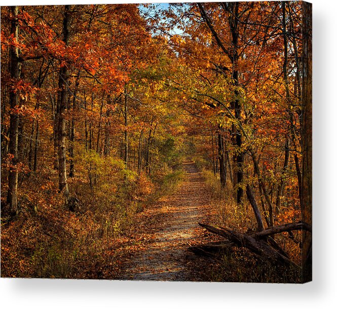 Fall Color Acrylic Print featuring the photograph Fall Color at Centerpoint Trailhead by Michael Dougherty