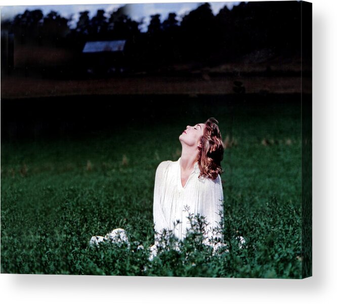 Woman Acrylic Print featuring the photograph Field Of Dreams by DArcy Evans