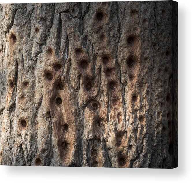 Finger Acrylic Print featuring the photograph Finger Punch by Matt Malloy