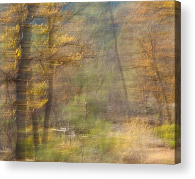 Autumn Acrylic Print featuring the photograph Fleeting Autumn by Denise Dethlefsen