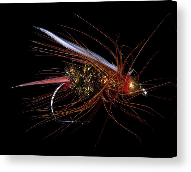 Canon 5d Mark Iv Acrylic Print featuring the photograph Fly-Fishing 4 by James Sage