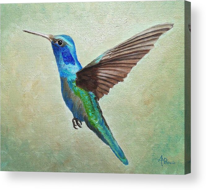 Hummingbird Acrylic Print featuring the painting Flying Hummingbird by Angeles M Pomata