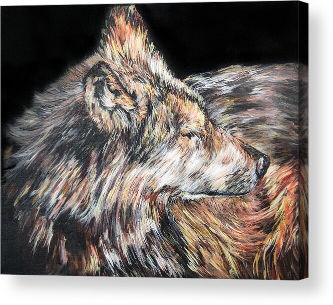 Wolf Acrylic Print featuring the painting Follow Me by Sally Quillin