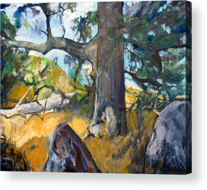  Acrylic Print featuring the painting Forest, Santa Rosa Plateau by Kathleen Barnes