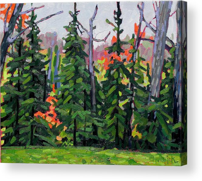 Pine Acrylic Print featuring the painting Forest Wall by Phil Chadwick